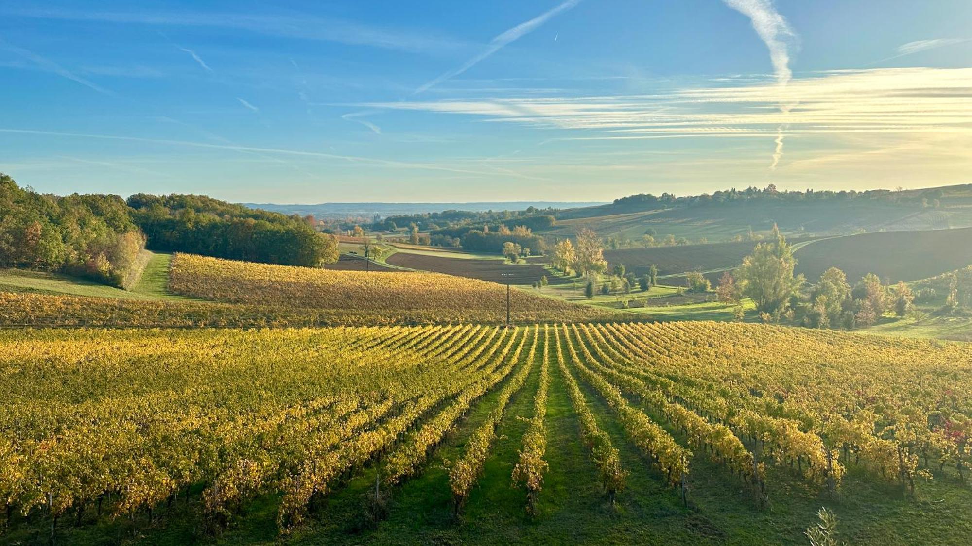 Chateau Lecusse - La Grande Roche - Hotel, Spa, Boutique & Restaurant Broze ภายนอก รูปภาพ