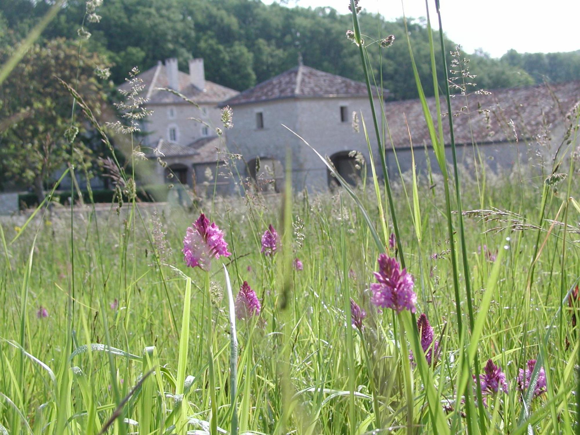Chateau Lecusse - La Grande Roche - Hotel, Spa, Boutique & Restaurant Broze ภายนอก รูปภาพ