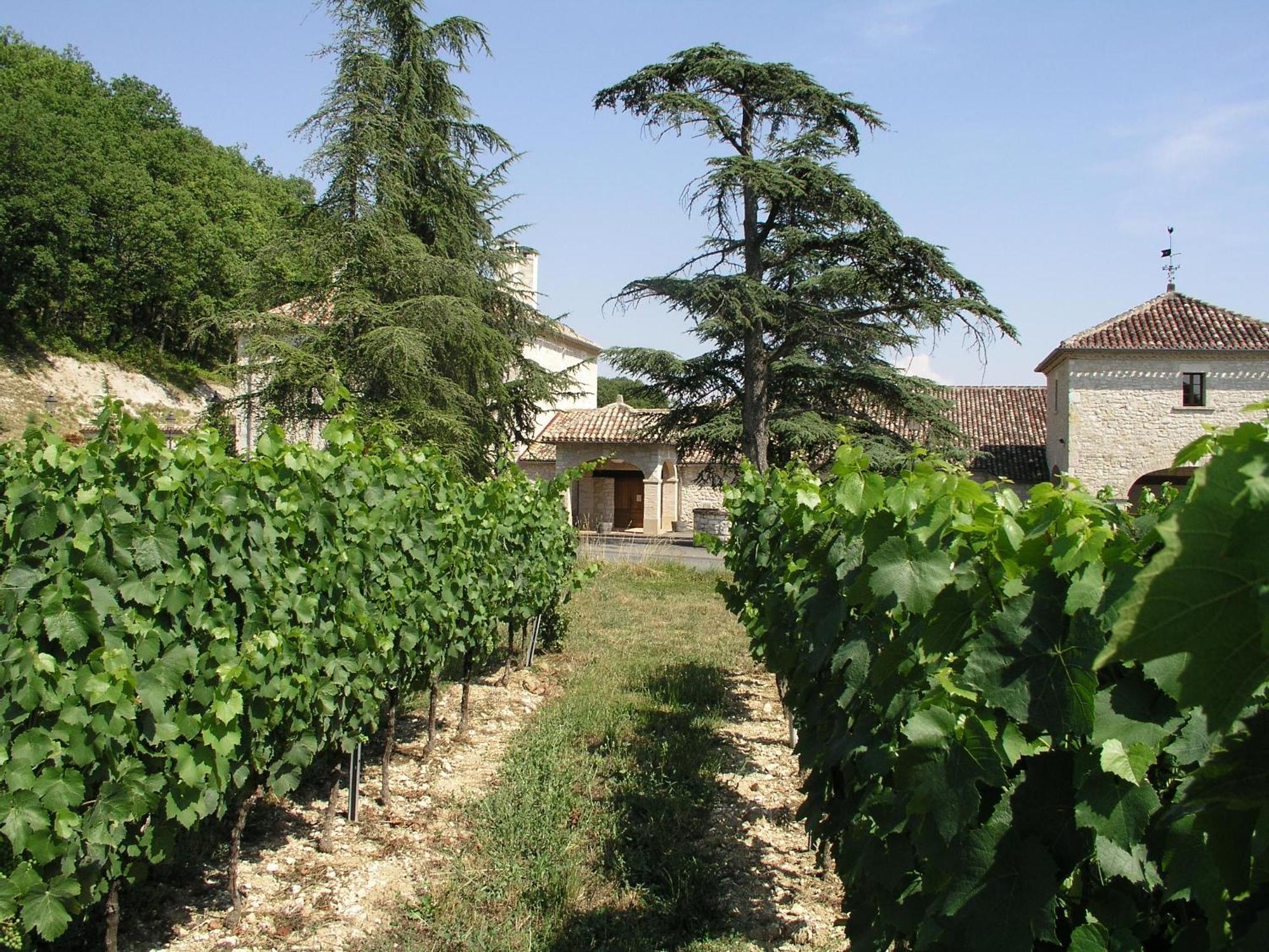 Chateau Lecusse - La Grande Roche - Hotel, Spa, Boutique & Restaurant Broze ภายนอก รูปภาพ